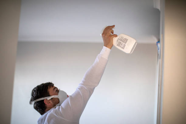 Best HVAC Mold Remediation in Camn, DE