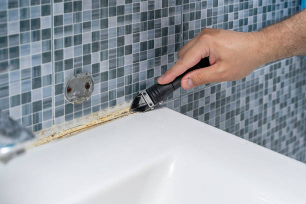 Best Health and Safety Mold Remediation in Camn, DE