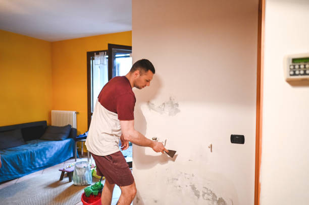 Best Preventive Mold Services in Camn, DE